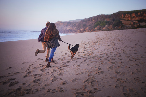 Young couple running with mutt dog on a leash at the beach during sunset