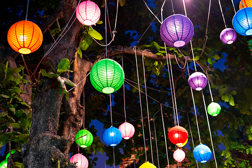 A brightly colored paper lantern hung under a big tree at night.