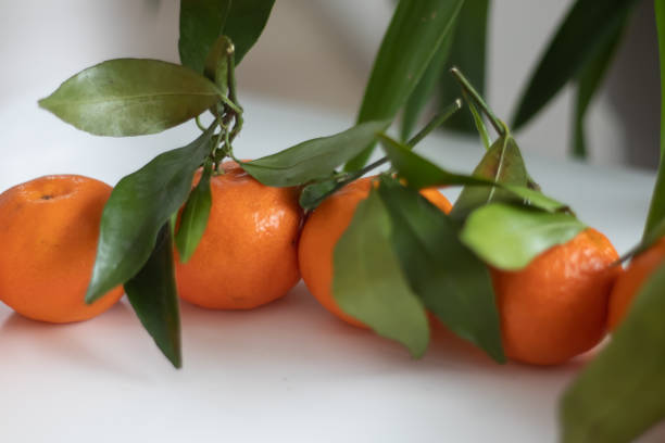 istock 5 fruits and vegetables a day 1296318231