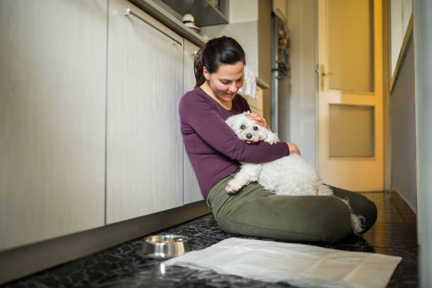 istock Woman and adopted dog 1296320287