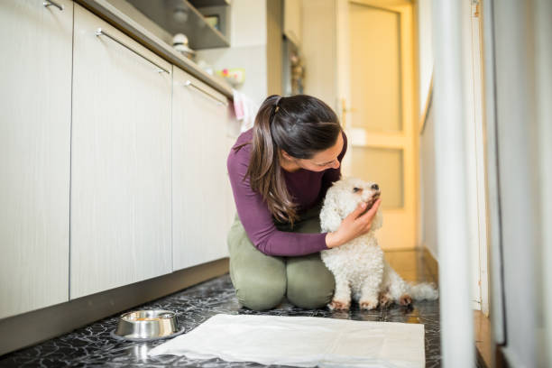 istock Woman and adopted dog 1296320313