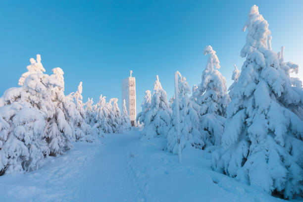 펜타곤, 벨카 데스트나, 오리케 산맥, 동부 보헤미아, 체코 의 아름다운 겨울 풍경이 독수리 산에서 서리가 내린 나무가 있는 새로운 전망대 타워는 프라하에서 150km 떨어져 있습니다. - eagle tower 뉴스 사진 이미지