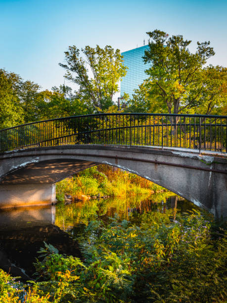helle herbstmorgenlandschaft mit brücke über die storrow lagoon des charles river park in boston - boston autumn charles river spring stock-fotos und bilder