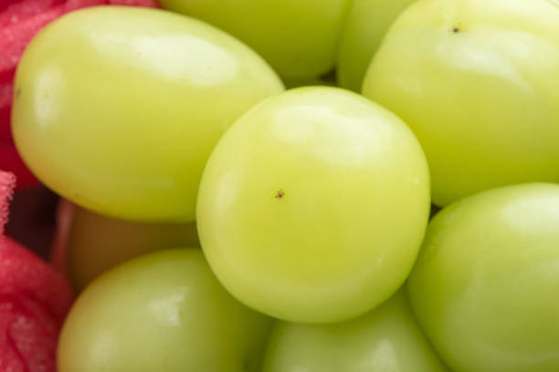 istock Beautiful boxed Shine Muscat green grape isolated on white background. 1296323994