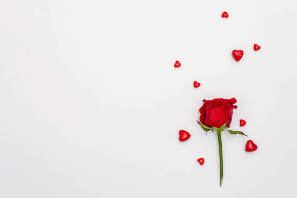 istock Red hearts isolated on white background 1296324592