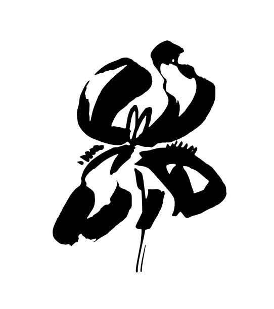 logo kwiatu wektora. kwiatowe tło. atrament kaligrafii. stylizowana kaligraficzna przysłona atramentu. - iris ink and brush sign flower stock illustrations