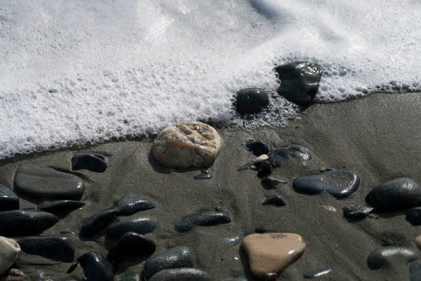 istock Beach stones and sea foam 1296334108