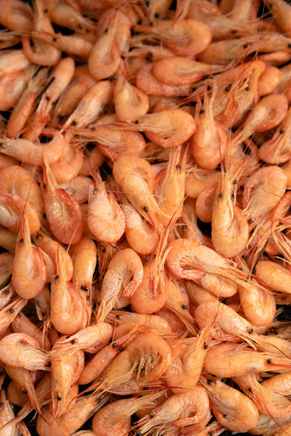 istock food background, many small shrimp 1296335889