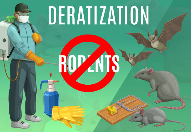 Deratization, rodent extermination service poster Deratization, rodent extermination service vector poster. Rats and bats pest control, domestic and office mice extermination, exterminator with press sprayer, mousetrap, sanitary deratization service office fogging stock illustrations