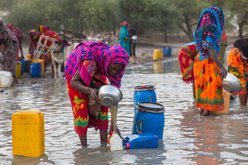 Due to insufficient resources in Chad, people travel to water resources tens of kilometers every day. Chad women get water from the polluted lake for their daily drinking water and needs