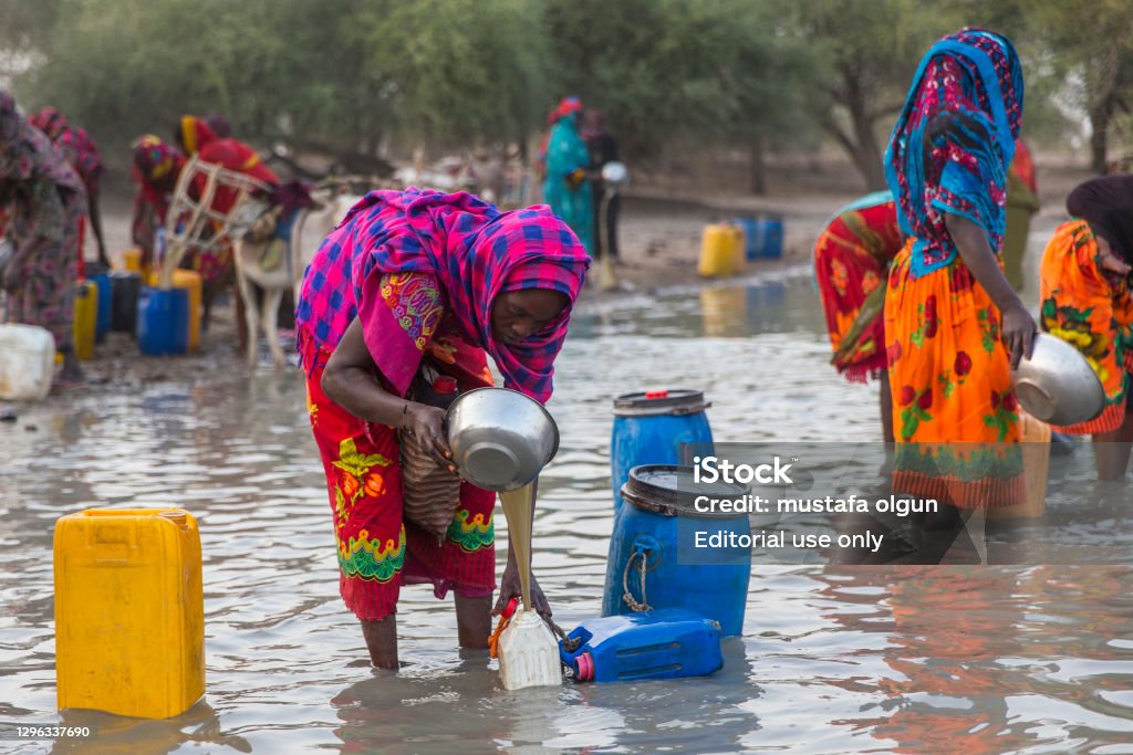 Chad women are taking dirty water for a drink and use for daily life Due to insufficient resources in Chad, people travel to water resources tens of kilometers every day. Chad women get water from the polluted lake for their daily drinking water and needs Cholera Stock Photo