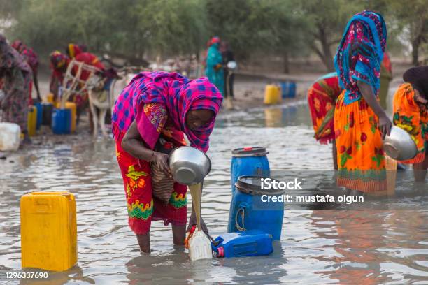 Chad Women Are Taking Dirty Water For A Drink And Use For Daily Life Stock Photo - Download Image Now