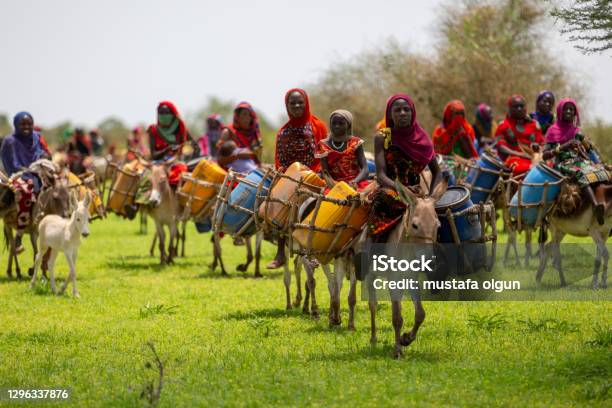 Chad Women Went Out To Find Water Stock Photo - Download Image Now - Chad - Central Africa, Africa, Donkey