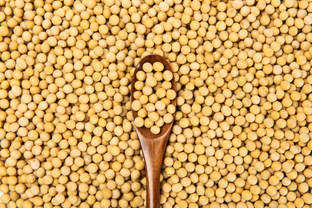 istock close up of dried soybeans background 1296338024