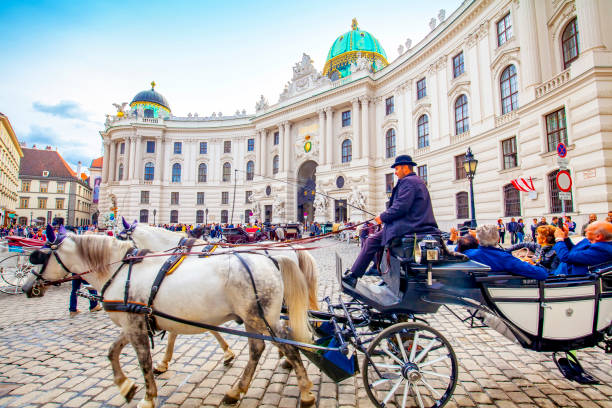 дворец хофбург и конный экипаж в вене, австрия - михайловская площадь стоковые фото и изображения