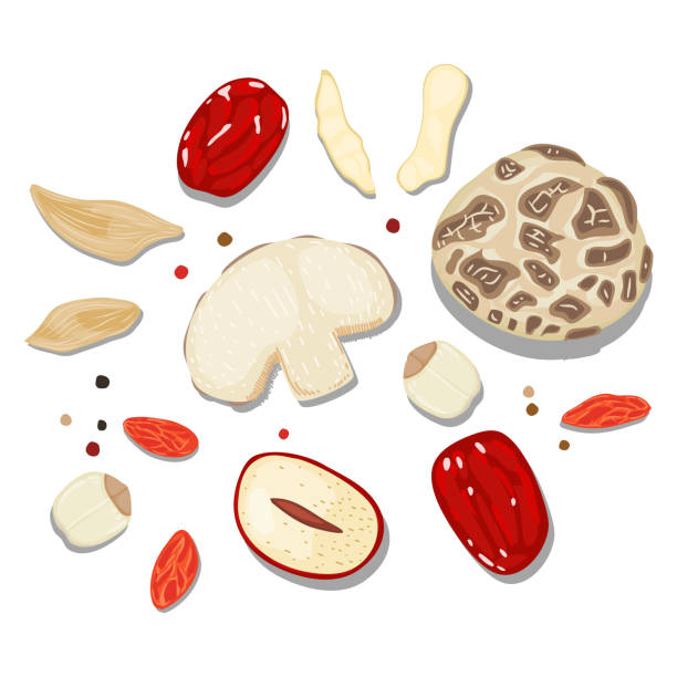 schöne flat lay food stil vektor-illustration der zutat, isoliert auf weißem hintergrund. chinesische traditionelle kraut. pilz, rote datteln, goji beere, chinesische yam, lilie glühbirne, lotussamen - alternative medicine mortar and pestle herbal medicine herb stock-grafiken, -clipart, -cartoons und -symbole