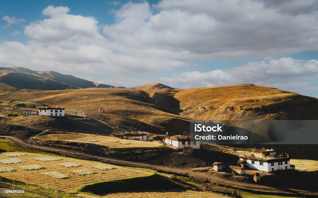 Village houses in Spiti valley and Himalayas in Komic, Himachal Pradesh, India. Traditional village houses with animal fodder on roofs in Spiti valledy and flanked by Himalayas in summer in Komic, Himachal Pradesh, India. Village Stock Photo