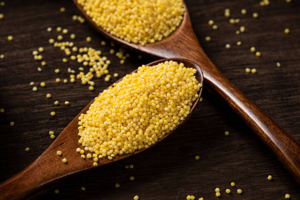 istock Raw Organic Healthy Millet in Spoon 1296343776