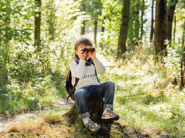 istock Little explorer on hike in forest. Boy with binoculars sits on stump. Outdoor leisure activity for children. Summer journey for young tourist. 1296347238