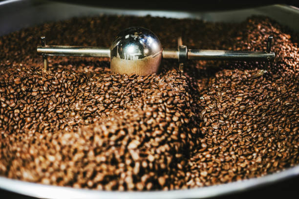 istock Selective focus of roasting coffee beans for speciality coffee 1296347498
