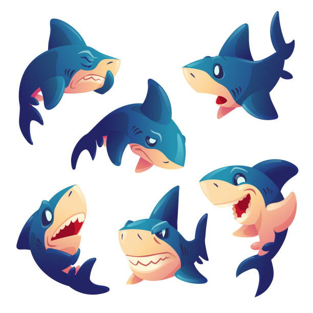 Cartoon Shark Stock Photos, Pictures & Royalty-Free Images - iStock