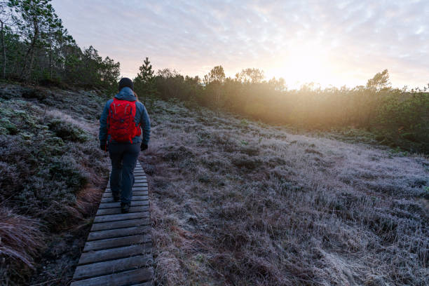 Outdoor in Norway: Woman hiking outdoors in winter landscape
