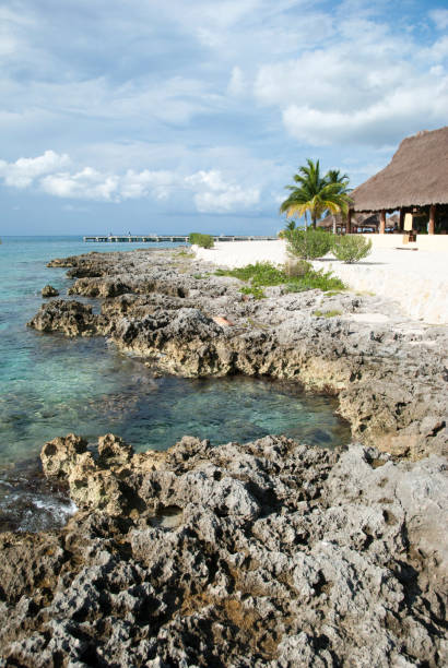 istock Cozumel Island Rocky Shore 1296354200