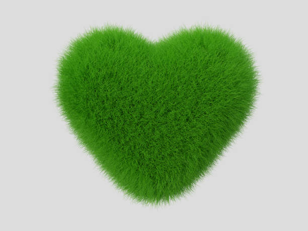 istock A green grass heart shape for Valentine concept, 3D rendering 1296355467