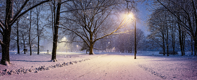 Panoramic view of winter landscape in park with snowy trees and shining lights during snowstorm