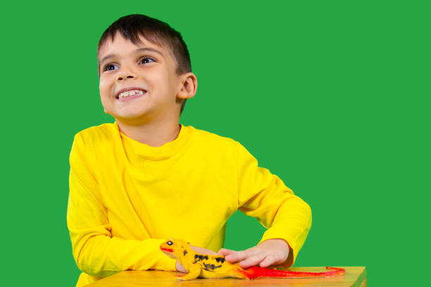 portrait of a smiling boy who strokes a domestic lizard on a stool. green background. - iguana reptile smiling human face imagens e fotografias de stock