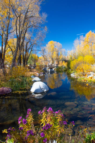 istock Small stream with rocks and flowers-Aspen Colorado 1296358978