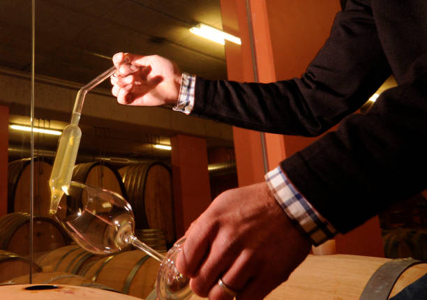 istock white wine tasting in a wine cellar 1296359131