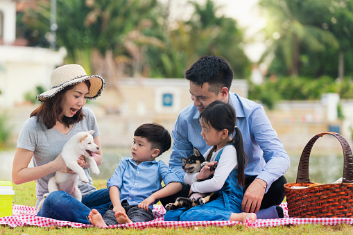 A family with a father, mother and daughter, son on a picnic And play with Shiba Inu puppies