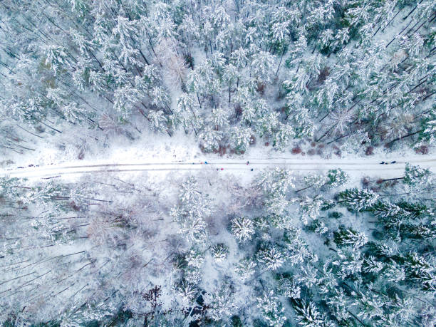 istock Road crossing the forest in the winter, covered by snow 1296360123