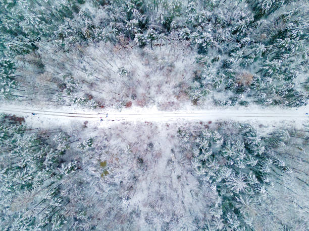 istock Road crossing the forest in the winter, covered by snow 1296360130