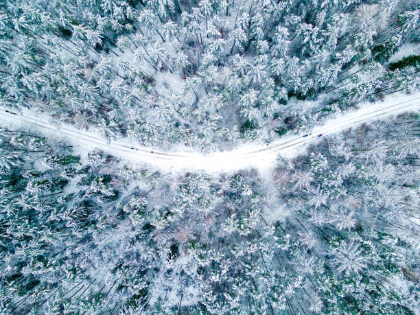 istock Road crossing the forest in the winter, covered by snow 1296360227