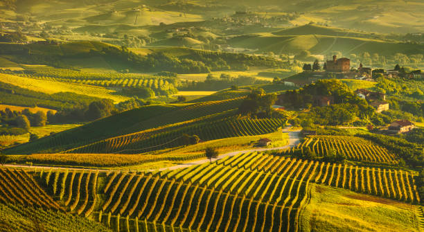 panorama al tramonto dei vigneti delle langhe, grinzane covour, piemonte, italia europa. - provincia di cuneo foto e immagini stock