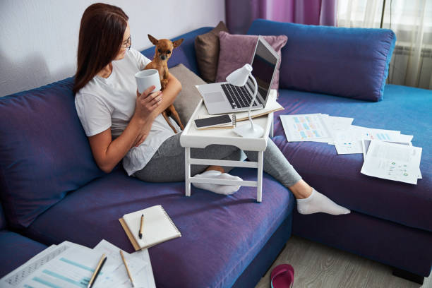 istock Smiling woman spending quarantine with pet and gadgets 1296361723
