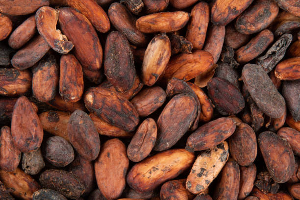 istock Texture of aromatic raw cocoa beans stacked top view. 1296361824