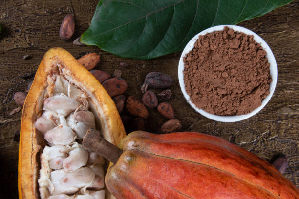 detalle de la fruta de cacao con cacao en polvo sobre granos de cacao crudo - cocoa cocoa bean chocolate brazil fotografías e imágenes de stock