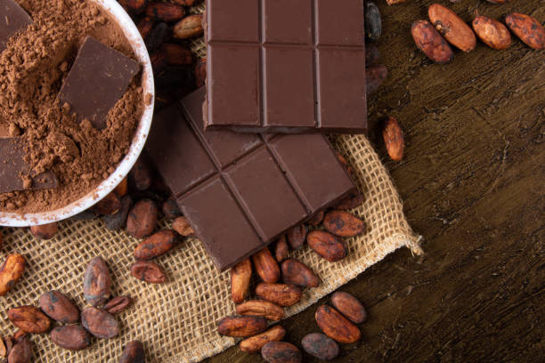 cacao en polvo con trozos de chocolate sobre granos de cacao crudos - cocoa cocoa bean chocolate brazil fotografías e imágenes de stock