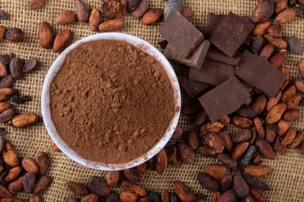istock Powdered cocoa with pieces of chocolate on raw cocoa beans 1296362135