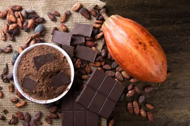 Detail of cocoa fruit with pieces of chocolate and cocoa powder on raw cocoa beans.