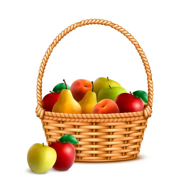 Vector illustration of Wicker Basket Fruits Realistic