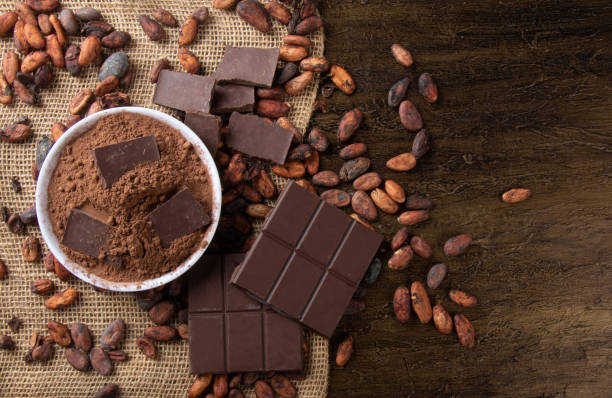 cacao en polvo con trozos de chocolate sobre granos de cacao crudos - cocoa cocoa bean chocolate brazil fotografías e imágenes de stock