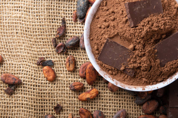 cacao en polvo con trozos de chocolate sobre granos de cacao crudos - cocoa cocoa bean chocolate brazil fotografías e imágenes de stock