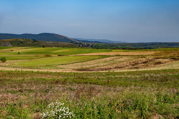 istock Beautiful wild meadow in Uvac, Serbia. 1296364456