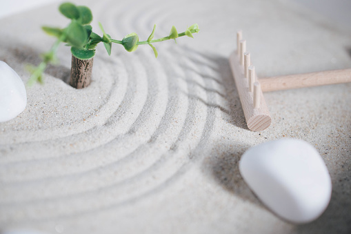 nd moves rake through a mini zen garden