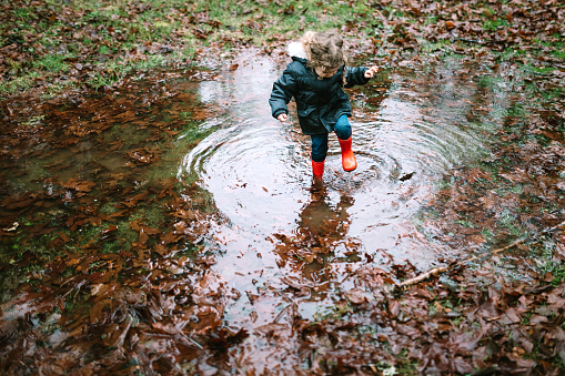 A toddler aged girl explores large pools of water accumulated from rain in Washington state, USA.