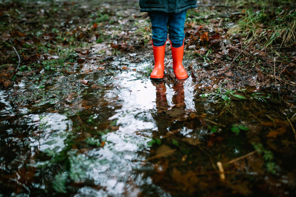 istock Little Girl Plays in Puddles From Heavy Rainfall 1296368067